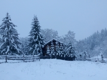 Cabana Toplita - alloggio in  Transilvania (38)