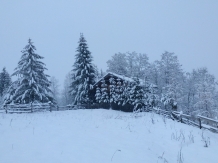 Cabana Toplita - alloggio in  Transilvania (39)