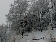 Cabana Toplita - alloggio in  Transilvania (42)