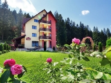 Pensiunea Sami - accommodation in  Gura Humorului, Voronet, Bucovina (01)