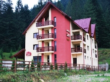 Pensiunea Sami - accommodation in  Gura Humorului, Voronet, Bucovina (04)