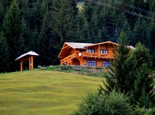 Rural accommodation at  Pensiunea Dumbrava Cerbilor