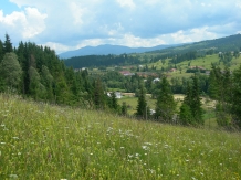 Pensiunea Dumbrava Cerbilor - alloggio in  Vatra Dornei, Bucovina (03)