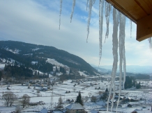 Pensiunea Dumbrava Cerbilor - alloggio in  Vatra Dornei, Bucovina (22)