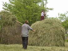 Pensiunea Crinul Alb - accommodation in  Maramures Country (33)