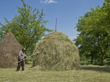 Pensiunea Crinul Alb - accommodation in  Maramures Country (34)