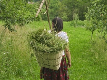 Pensiunea Crinul Alb - accommodation in  Maramures Country (36)