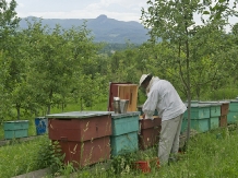 Pensiunea Crinul Alb - accommodation in  Maramures Country (38)