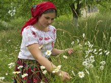 Pensiunea Crinul Alb - accommodation in  Maramures Country (40)