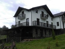 Pensiunea Alpina Deluxe - accommodation in  Maramures Country (01)