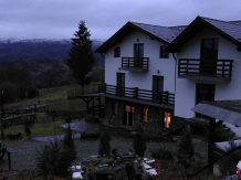 Pensiunea Alpina Deluxe - accommodation in  Maramures Country (02)