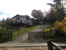 Pensiunea Alpina Deluxe - accommodation in  Maramures Country (03)