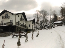 Pensiunea Alpina Deluxe - accommodation in  Maramures Country (21)