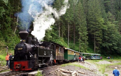 Pensiunea Alpina Deluxe - cazare Tara Maramuresului (Activitati si imprejurimi) Pensiunea Alpina Deluxe - cazare Tara Maramuresului (Activitati si imprejurimi)
