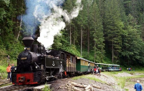 Pensiunea Alpina Deluxe - alloggio in  Tara Maramuresului (Attivit&agrave; e i dintorni)