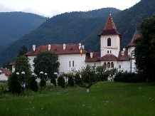 Pensiunea Stella Dragus - cazare Fagaras, Sambata (08)