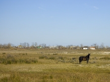 Hotel Plutitor Pelican Tour - accommodation in  Danube Delta (11)