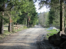 Casa Lus - alloggio in  Vatra Dornei, Bucovina (49)