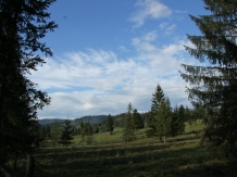 Casa Lus - cazare Vatra Dornei, Bucovina (54)