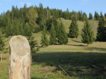 Casa Lus - alloggio in  Vatra Dornei, Bucovina (55)