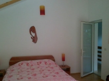 Vila Vistea Mare - accommodation in  Fagaras and nearby (12)