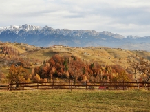 Pensiunea Samedru - cazare Rucar - Bran, Moeciu (10)