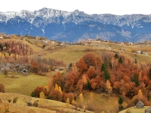 Pensiunea Samedru - cazare Rucar - Bran, Moeciu (11)