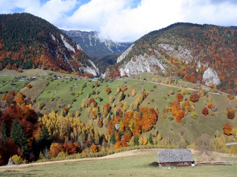 Pensiunea Samedru - accommodation in  Rucar - Bran, Moeciu (Surrounding)