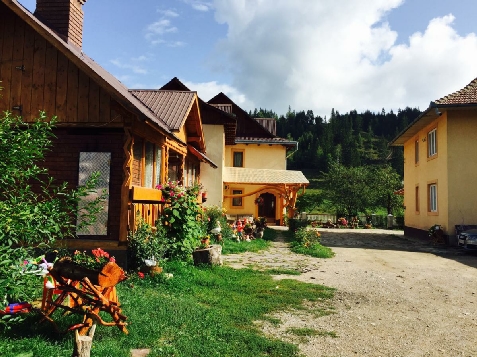Casa Irinuca - accommodation in  Vatra Dornei, Bucovina (Surrounding)