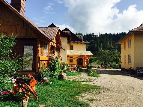 Casa Irinuca - alloggio in  Vatra Dornei, Bucovina (Attivit&agrave; e i dintorni)