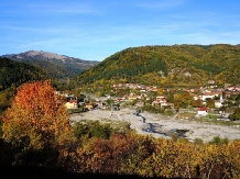 Casa de vacanta Eva - cazare Tara Muscelului (10)