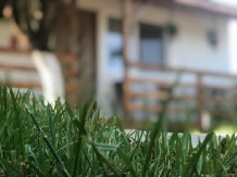Casa Bogdan - cazare Delta Dunarii (04)