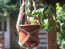 Casa Bogdan - cazare Delta Dunarii (06)