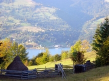 Pensiunea Lac Colibita - accommodation in  Bistrita (11)