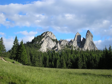 Cabana Deac - alloggio in  Vatra Dornei, Bucovina (Attivit&agrave; e i dintorni)