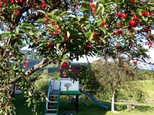 Casa Tabacaru - cazare Rucar - Bran, Moeciu (36)