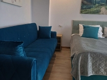 Casa Tabacaru - accommodation in  Rucar - Bran, Moeciu (113)