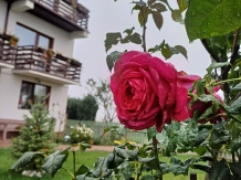 Casa Tabacaru - cazare Rucar - Bran, Moeciu (94)
