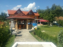 Pensiunea Doina - accommodation in  Hateg Country (10)