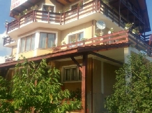 Pensiunea Doina - accommodation in  Hateg Country (11)