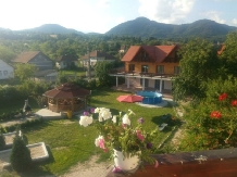 Pensiunea Doina - accommodation in  Hateg Country (13)