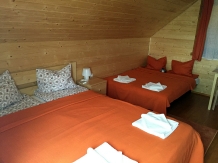 Pensiunea Nimfa - accommodation in  Transylvania (16)