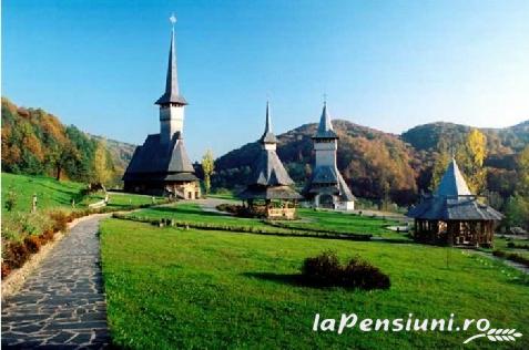 Pensiunea Malinul - accommodation in  Maramures Country (Surrounding)