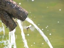 Pensiunea Terra Rosa - cazare Nordul Olteniei (23)