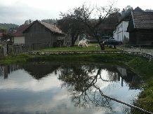Pensiunea Piatra Craiului - cazare Rucar - Bran, Moeciu, Bran (03)