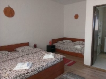 Pensiunea Piatra Craiului - accommodation in  Rucar - Bran, Moeciu, Bran (16)