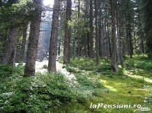 Casa Andrei - cazare Bucovina (06)