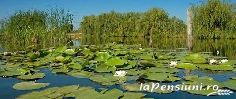 Pensiunea Andra - alloggio in  Delta del Danubio (Attivit&agrave; e i dintorni)