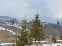 Pensiunea Popasul Iancului - alloggio in  Apuseni, Belis (07)