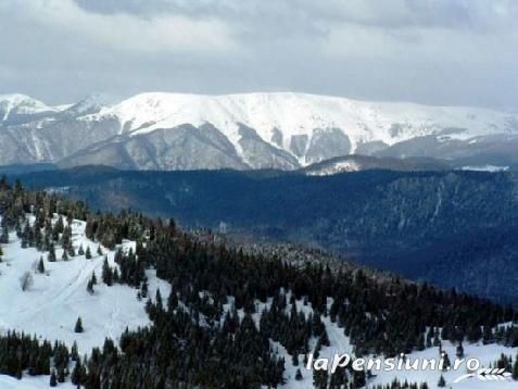 Pensiunea Popasul Iancului - accommodation in  Apuseni Mountains, Belis (Surrounding)